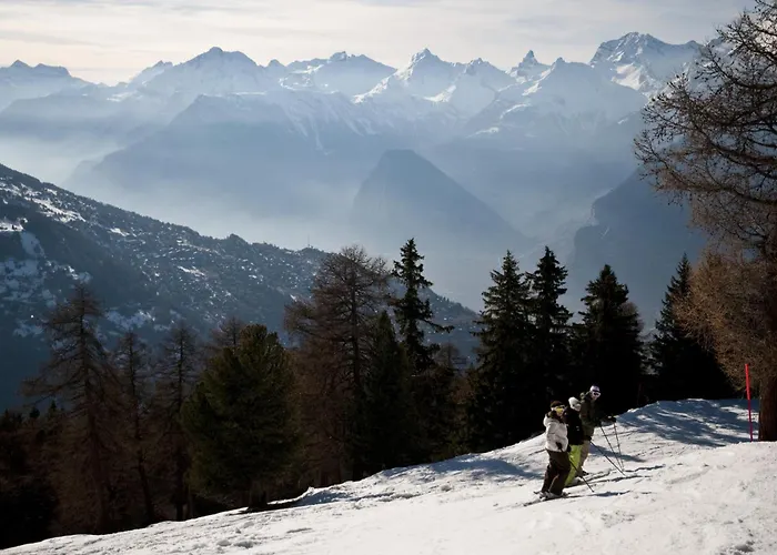 Magrappe M 451 - Lift 6 Pers Appartement Veysonnaz